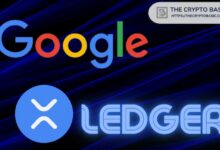 XRP هي جوجل عالم العملات الرقمية.. والمحللون: ما زلنا في عام 2003