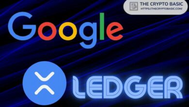 XRP هي جوجل عالم العملات الرقمية.. والمحللون: ما زلنا في عام 2003