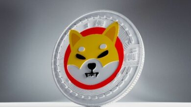 سعر شيبا إينو يستهدف اختراقًا مع تماسك الدعم وتزايد الإشارات الصعودية