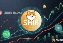 تسارع تدفقات شيبا إينو بمقدار 400 مليار SHIB – هل الانطلاق ممكن؟