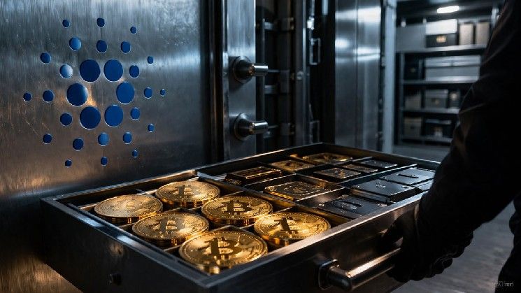 مؤسسة كاردانو تُعيد توزيع احتياطياتها: البيتكوين والنقد يحصلان على حصة أكبر على حساب عملة آدا