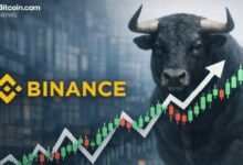 مُقتنو البيتكوين على المدى الطويل يعودون لمرحلة التراكم: بينانس ترصد إشارات مبكرة لسوق صاعد