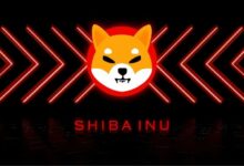 -260 مليار شيبا إينو (SHIB) تنتعش في 24 ساعة: وتيرة تعافٍ غير متوقعة تكتسب زخماً