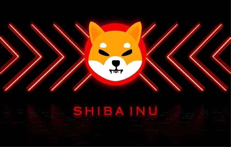 -260 مليار شيبا إينو (SHIB) تنتعش في 24 ساعة: وتيرة تعافٍ غير متوقعة تكتسب زخماً