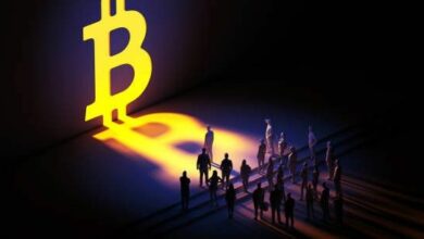 عنوان مترجم: حذارِ bulls البيتكوين من هذا المستوى أو المخاطرة بفخ الاستثمار