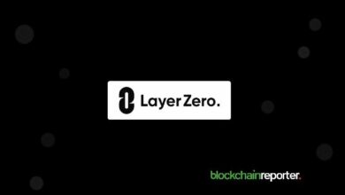 دليل إيردروب LayerZero (ZRO): كيف تستعد للتوزيعات المجتمعية المستقبلية
