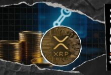 تحديثات حاسمة في انتظار XRP.. ماذا يخبئ المستقبل؟