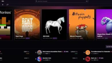 هل ينتهي عصر Magic Eden؟ أسباب إغلاق المنصة لتقديم خدماتها