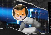 "ليس له علاقة بسعر SHIB": سفير شبا إنو الرئيسي يلمح لتحديث قادم