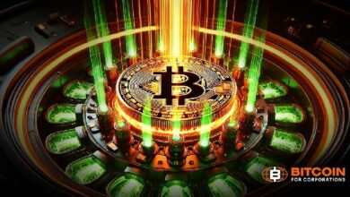 TD للأوراق المالية تعلن "شركات خزينة البيتكوين العامة" كفئة استثمارية متميزة