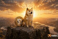 هل يمكن لحجم تداول بقيمة 800 مليون دولار أن يرفع سعر دوجكوين؟