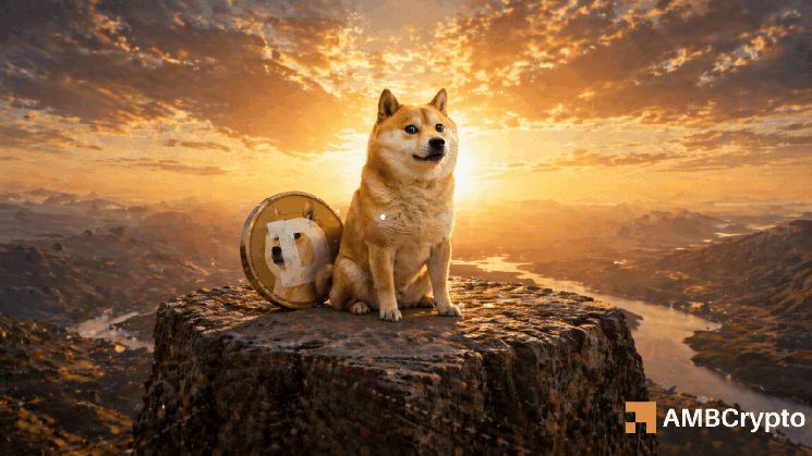 هل يمكن لحجم تداول بقيمة 800 مليون دولار أن يرفع سعر دوجكوين؟