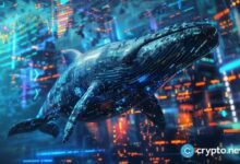 حوت يجمّع 72 ألف رمز HYPE بقيمة 30.6 مليون دولار