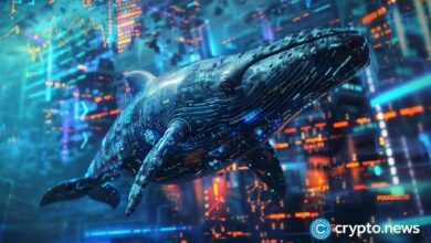 حوت يجمّع 72 ألف رمز HYPE بقيمة 30.6 مليون دولار