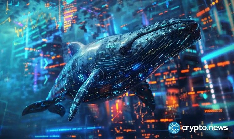 حوت يجمّع 72 ألف رمز HYPE بقيمة 30.6 مليون دولار