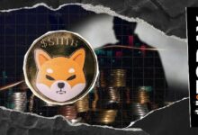 مجتمع SHIB في حالة من النشاط بعد تغيير موقع شيتوشي كوساما الجديد على X