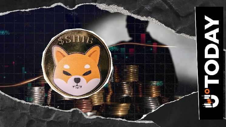 مجتمع SHIB في حالة من النشاط بعد تغيير موقع شيتوشي كوساما الجديد على X