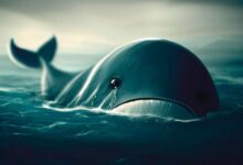 دموع الحوت العملاق: لو باع قبل أربعة أيام لربح 50 مليون دولار، لكن بيعه اليوم لم يجنِ سوى 200 ألف