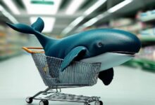 حوت ينقل حصة كبيرة من معروض عملة بديلة من بينانس إلى محفظته أمس: والسعر يتضاعف اليوم