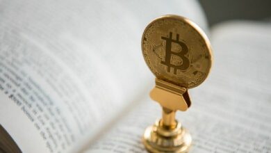 سوق العملات الرقمية يشهد صعودًا قويًا: بيتكوين تصل إلى 73 ألف دولار مع تدفق استثمارات المؤسسات