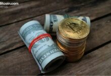 صناديق البيتكوين ETF تواصل جذب الاستثمارات بـ 118 مليون دولار والإيثيريوم يضيف 31 مليونًا