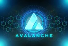 W3.io تطلق منصة التحكم المالي بالوكلاء على Avalanche