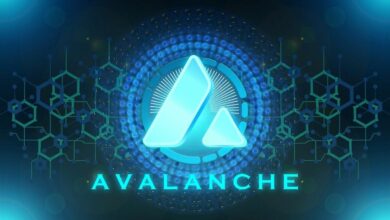W3.io تطلق منصة التحكم المالي بالوكلاء على Avalanche
