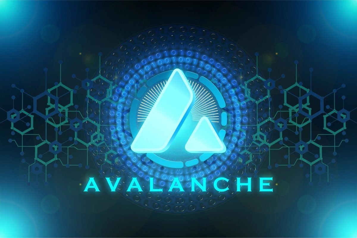 W3.io تطلق منصة التحكم المالي بالوكلاء على Avalanche
