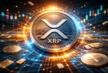 المستثمرون الزراعيون والتجاريون يضيفون تعرضًا لصندوق Bitwise XRP ETF في أحدث إيداع لهيئة الأوراق المالية