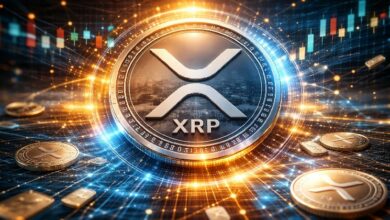 المستثمرون الزراعيون والتجاريون يضيفون تعرضًا لصندوق Bitwise XRP ETF في أحدث إيداع لهيئة الأوراق المالية