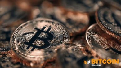 "كابيتال بي" تشتري 12 بيتكوين وتوسع خزينتها إلى 2,937 عملة بيتكوين