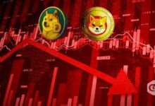 أسعار Dogecoin و Shiba Inu تهبط أكثر من 2% مع تراجع السوق