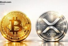 عندما تتفوق العملات الرقمية على العملات المستقرة: ديفيد شوارتز من ريبل يفضل XRP أو البيتكوين على الدولار للأموال المجمدة