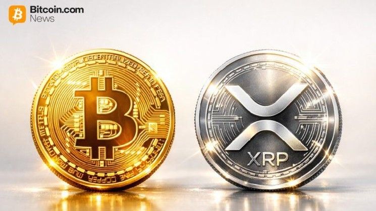 عندما تتفوق العملات الرقمية على العملات المستقرة: ديفيد شوارتز من ريبل يفضل XRP أو البيتكوين على الدولار للأموال المجمدة