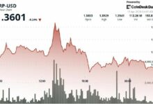 عملة XRP تتجه صوب 1.38 دولار مع دمج راكوتن اليابانية الرمز للدفعات