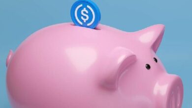 قمع عائدات العملات المستقرة: سياسة مالية خاطئة في عالم التشفير