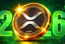 من يتحكم حقًا في سعر الـ XRP في 2026؟ مستثمرو التجزئة يمتلكون نصف إمدادات XRP، لكن هناك مفاجأة
