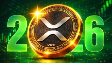 من يتحكم حقًا في سعر الـ XRP في 2026؟ مستثمرو التجزئة يمتلكون نصف إمدادات XRP، لكن هناك مفاجأة