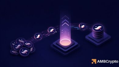 ستاركنت يرتفع بنسبة 15%: هل حفز تحويل 1.5 مليار رمز STRK وترقية شينوبي هذا الارتفاع؟