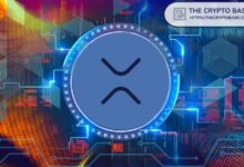 لا "فجوة" بين سعر XRP والطلب الحقيقي — نائب رئيس Ripple يشرح التحول