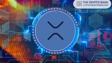 لا "فجوة" بين سعر XRP والطلب الحقيقي — نائب رئيس Ripple يشرح التحول
