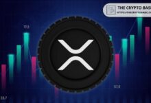 زاك ريكتور يشرح فرصة الـ 33 تريليون دولار لعملة XRP