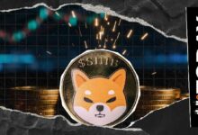 تجاوز سهم شيبا إينو (SHIB) عتبة الأسبوع بتدفق 494 مليار عملة في البورصات خلال 24 ساعة