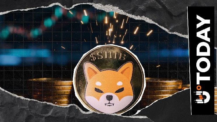 تجاوز سهم شيبا إينو (SHIB) عتبة الأسبوع بتدفق 494 مليار عملة في البورصات خلال 24 ساعة