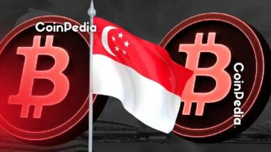 بنك سنغافورة خليج يطلق خدمة سك واسترداد USDC على سولانا