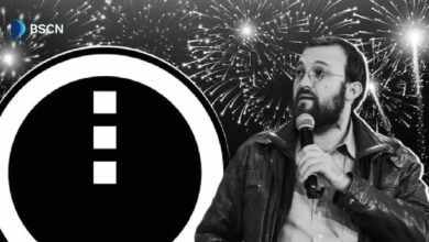 شبكة ميدنايت تبدأ التشغيل الرسمي مع جوجل وفودافون وإيتورو كمدققين