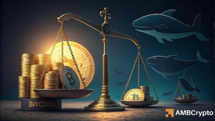 بيتكوين تدخل "منطقة الشراء" – لكن هذه النسبة تطلق تحذيرات