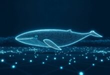 كشف شراء حوت العملات الرقمية لأصول HYPE بقيمة 180 مليون دولار عبر Galaxy Digital عن ثقة مؤسسية مذهلة