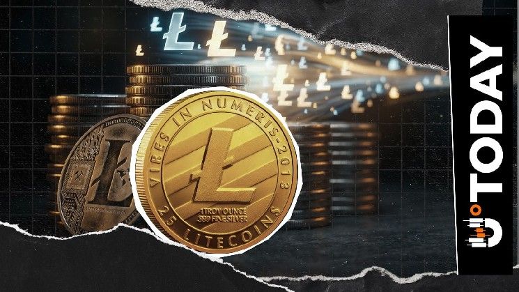 لايتكوين تنشر تقريرًا كاملاً عن الثغرة الصفرية: الحقيقة وراء 85,000 LTC "المزيفة" وصفقة الهاكر السرية