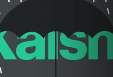 الباب الدوار للمحامين بين كالشي ووزارة العدل الأمريكية